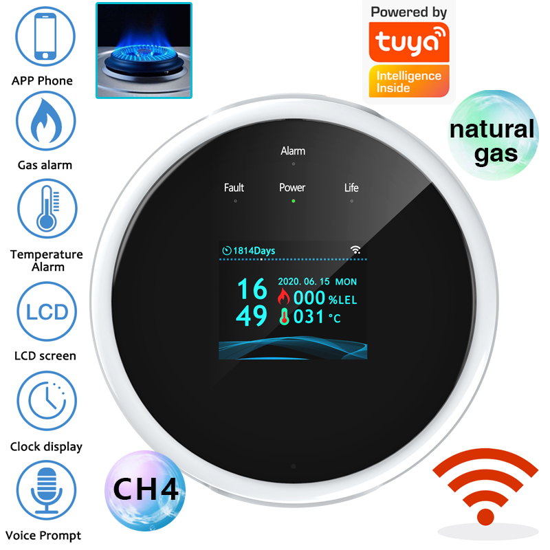 Home Security Monitor - 2.4G WiFi Gas Alarm Sensor Combustible