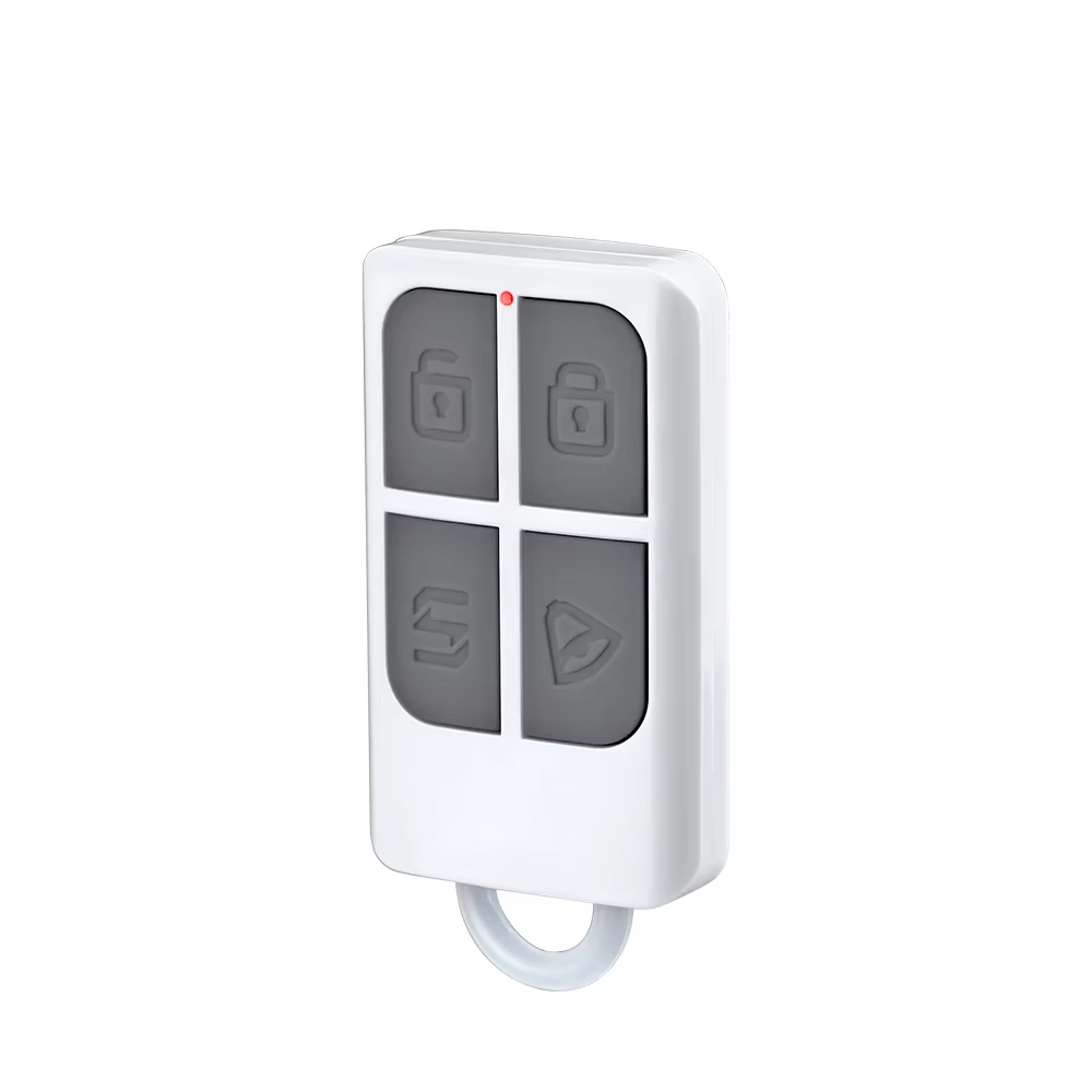 RC531 Wireless Portable Remote - Home Security Monitor 评论和价格