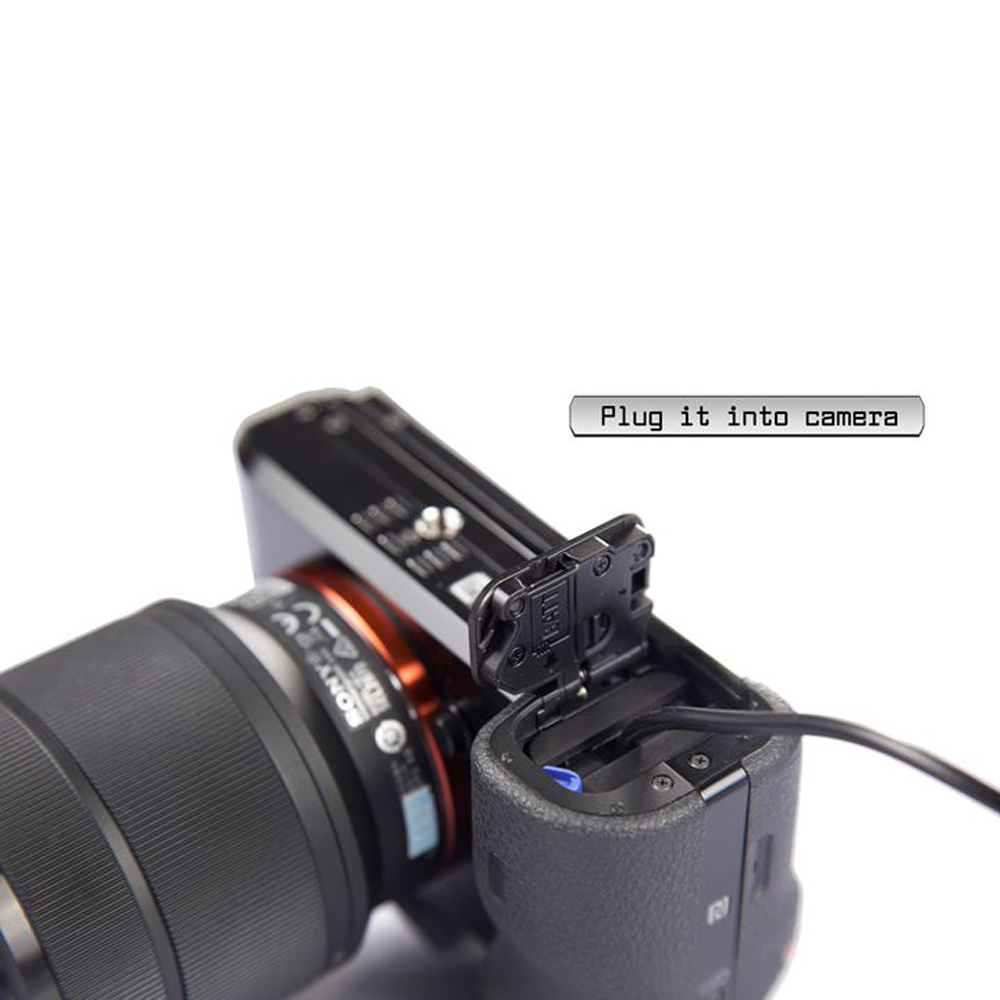 Lanparte NP-FW50 Dummy Fake Ba - Fake Camera Dummy 评论和价格