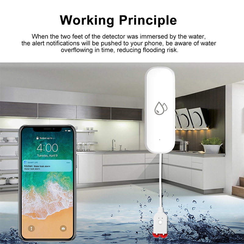Tuya WiFi Water Leakage Alarm  - Home Security Monitor 评论和价格