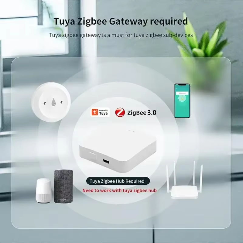 For Tuya ZigBee 3.0 Smart Wate - Home Security Monitor 评论和价格